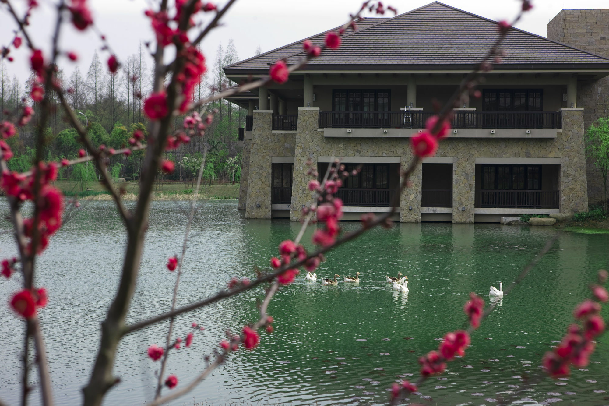 Narada Resort & Spa Liangzhu Hangzhou Eksteriør bilde